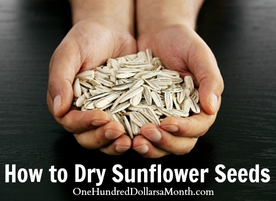 How to Dry Sunflower Seeds