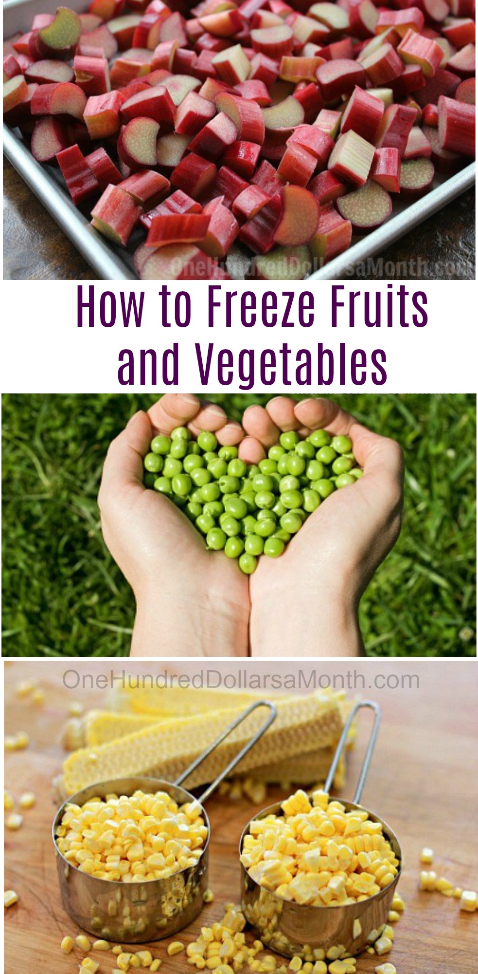 How to Freeze Fruits and Vegetables