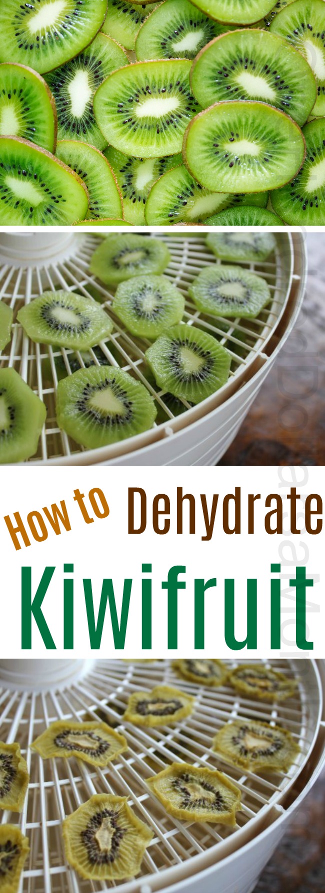 How to Dehydrate Kiwifruit