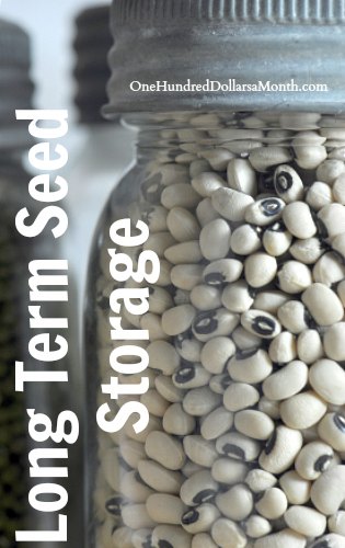 Long Term Seed Storage