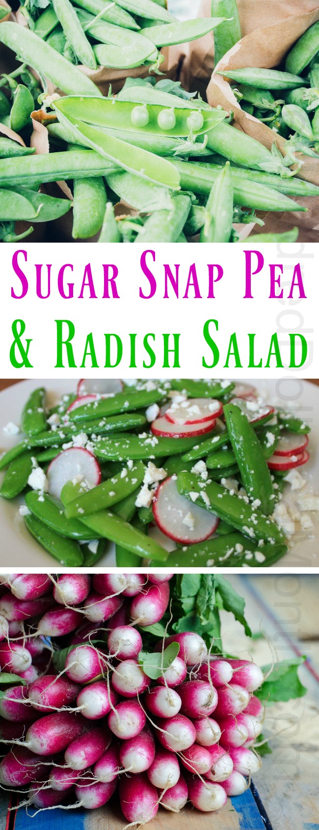 Sugar Snap Pea and Radish Salad