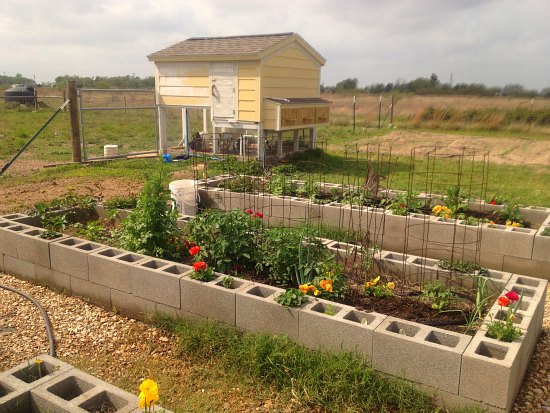 Mavis Mail – Lindsey from Texas Sends in Cinder Block Garden Photos