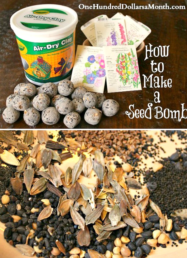 How to Make a Seed Bomb