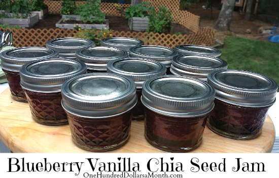 Blueberry Vanilla Jam without pectin
