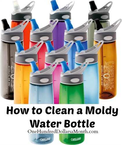 How to Clean a Moldy Water Bottle
