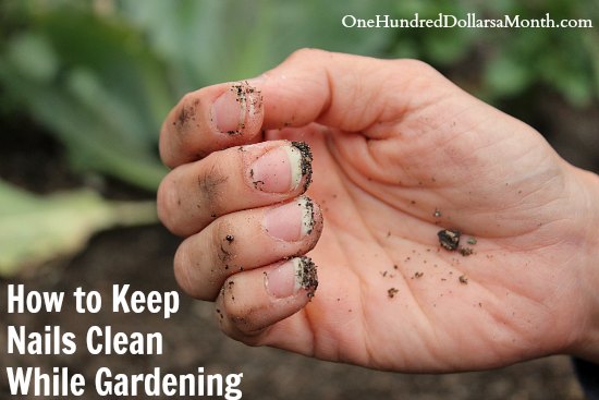 How to Keep Nails Clean While Gardening