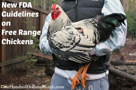 New FDA Guidelines on Free Range Chickens