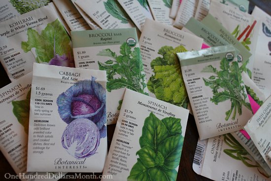 Planting a Fall Vegetable Garden – Time to Start Your Seeds