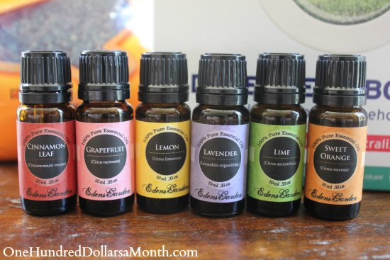 DIY Deodorizing Carpet Powder