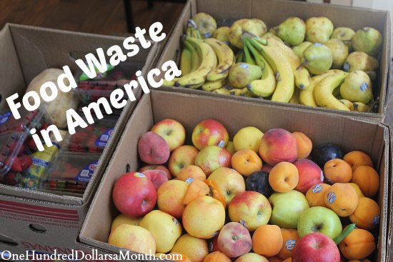 Food Waste In America – Banana Mania!