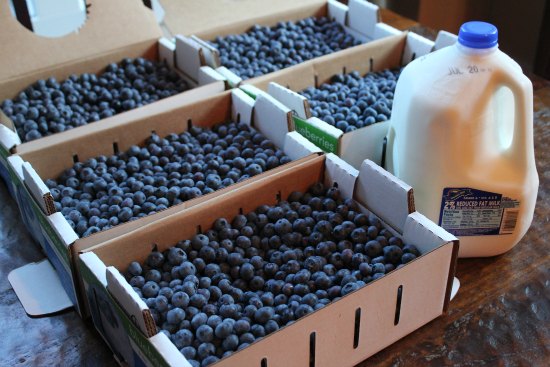 Mondays with Mavis – How to Feed Your Family for $100 a Month – 47