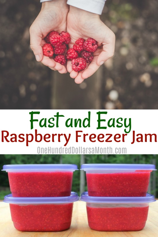 Fast and Easy Raspberry Freezer Jam