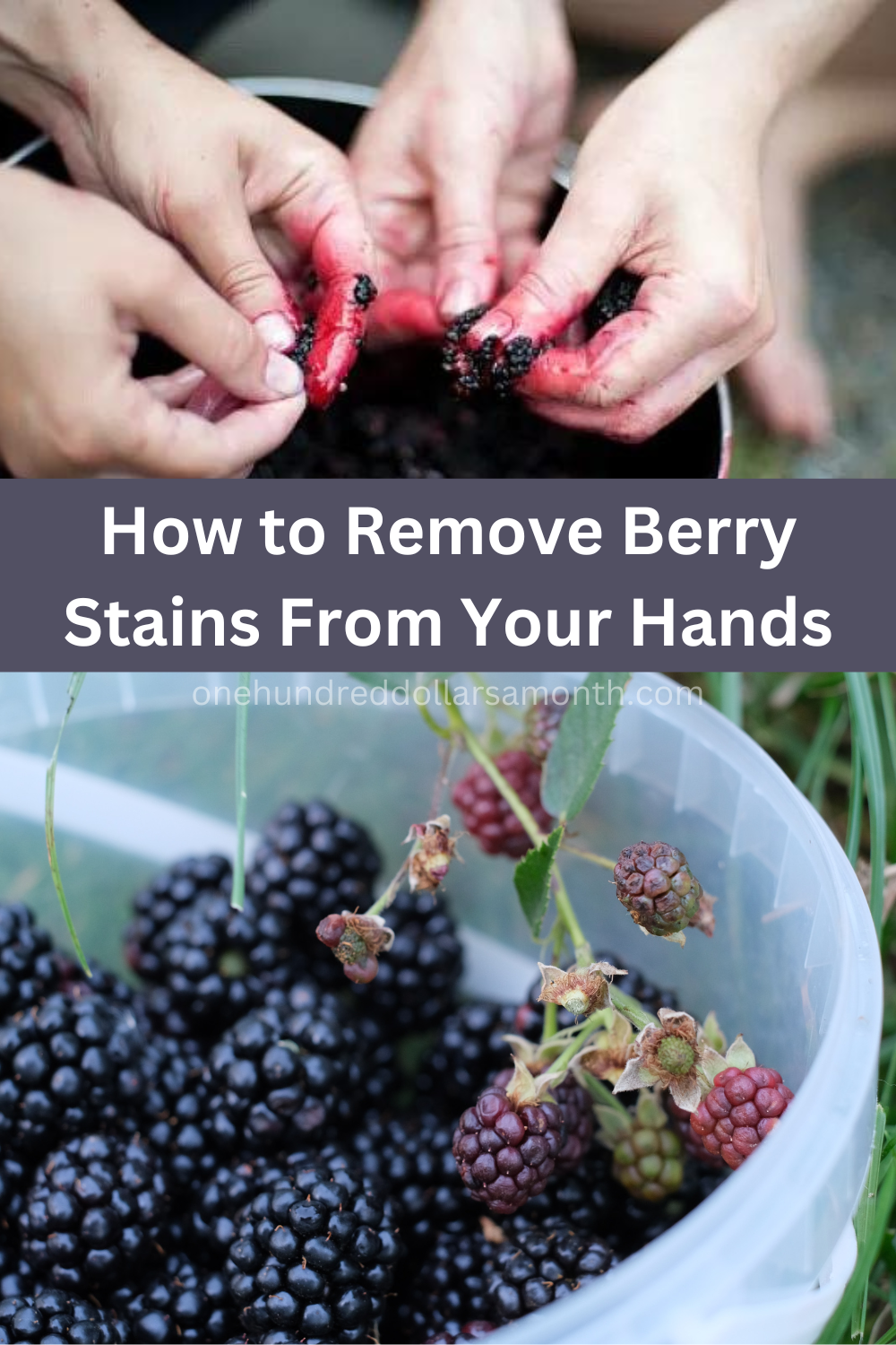 How to Remove Berry Stains from Your Hands