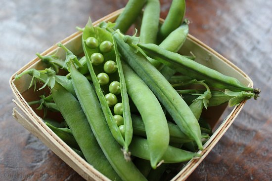 How to Grow Your Own Food – 7/10/2013 Garden Tally