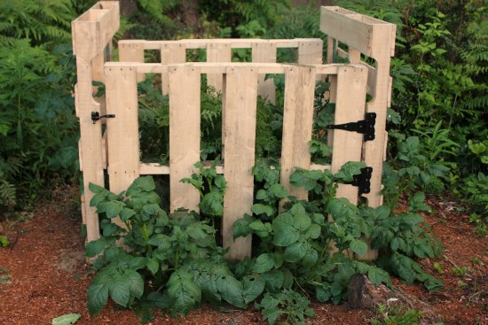 How to Grow Potatoes in a Tower – Update