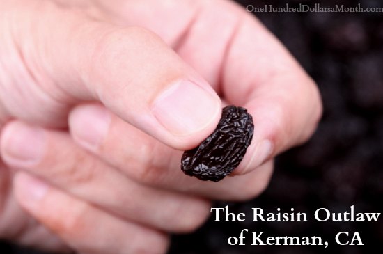 The Raisin Outlaw of Kerman, CA