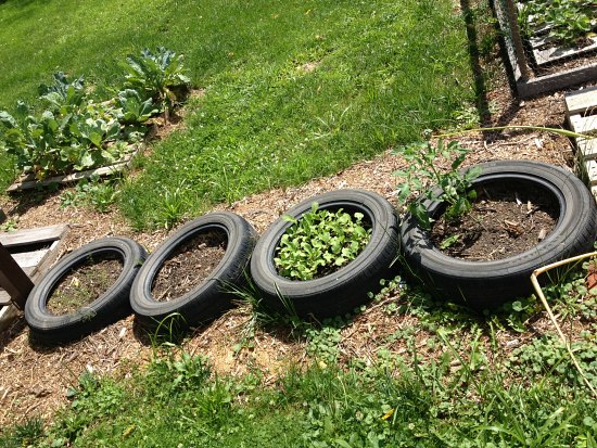 Megan From West Virginia Sends in Photos of Her Parent’s Garden