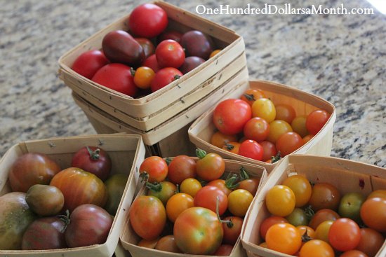 How to Grow Your Own Food – 8/7/2013 Garden Tally