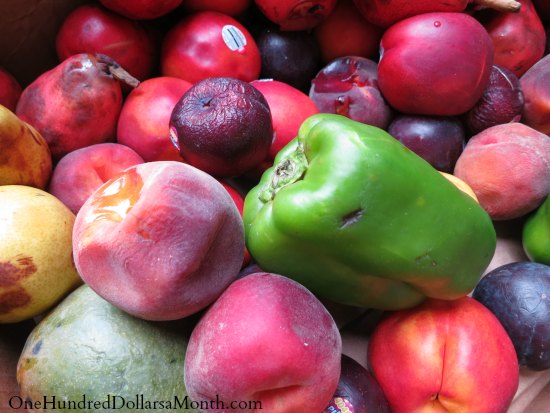 Food Waste In America – Those are Some Nice Melons