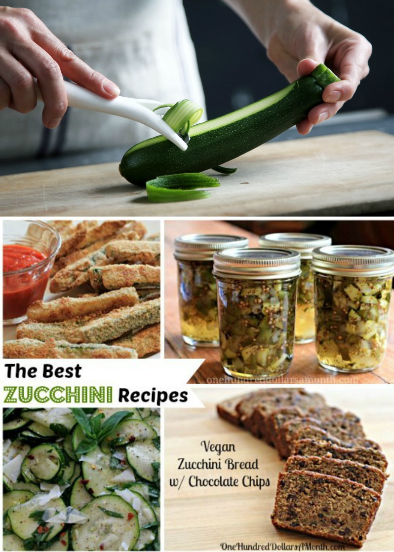 Recipes: The Best Zucchini Recipes