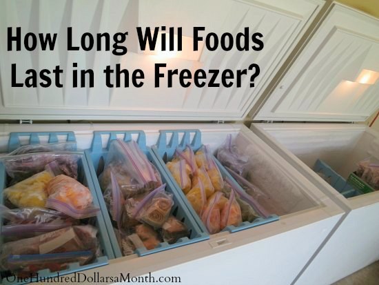 How Long Will Foods Last in the Freezer?