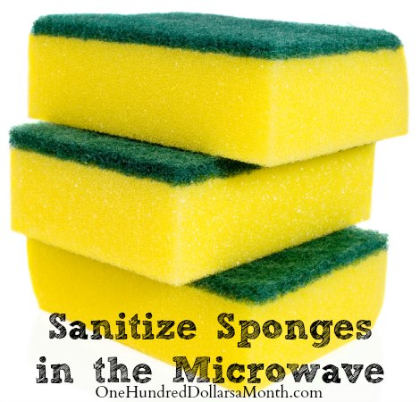 Easy Kitchen Tip – Sanitize Sponges in the Microwave