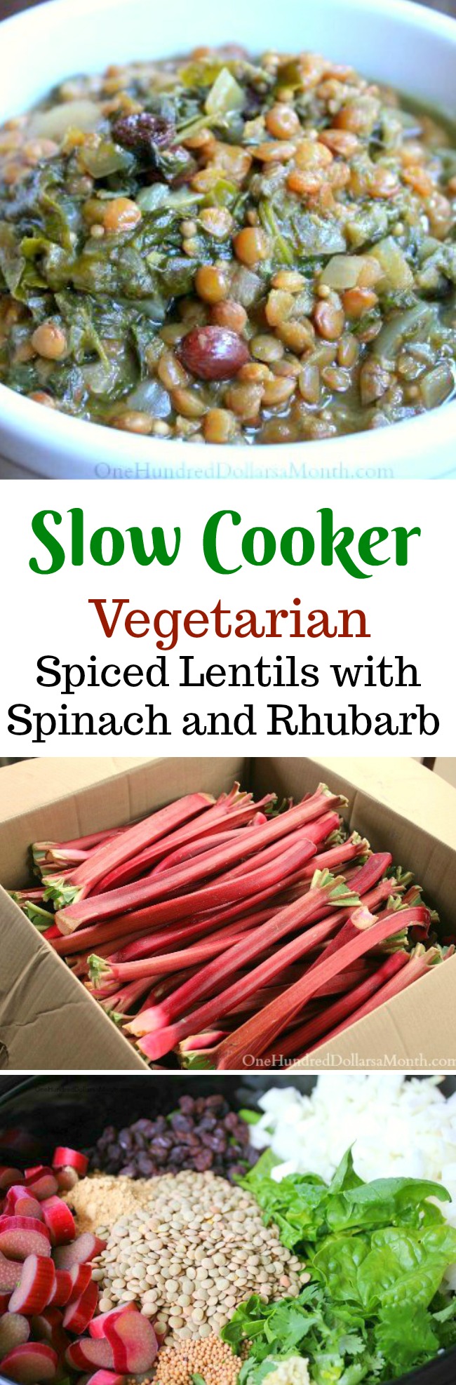 Slow Cooker Vegetarian Indian-Spiced Lentils with Spinach and Rhubarb