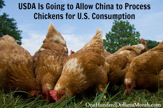 USDA Is Going to Allow China to Process Chickens for U.S. Consumption