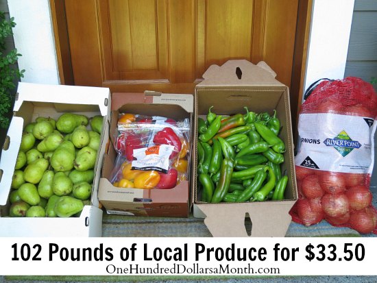 Stock Up on Produce When the Prices are Low – Wilco Case Sale