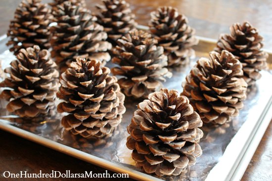 How to Make Scented Pine Cones