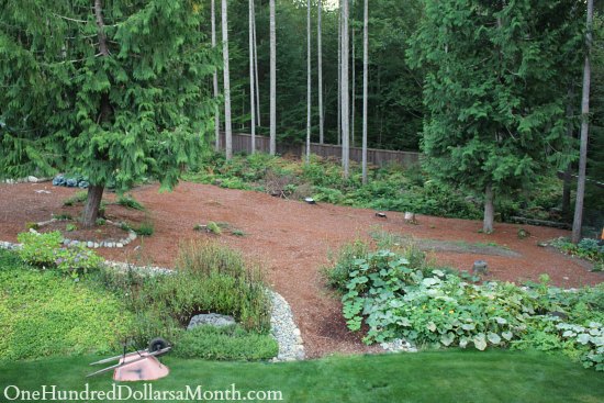 Mavis Butterfield | Backyard Garden Plot Pictures – Week 37 of 52