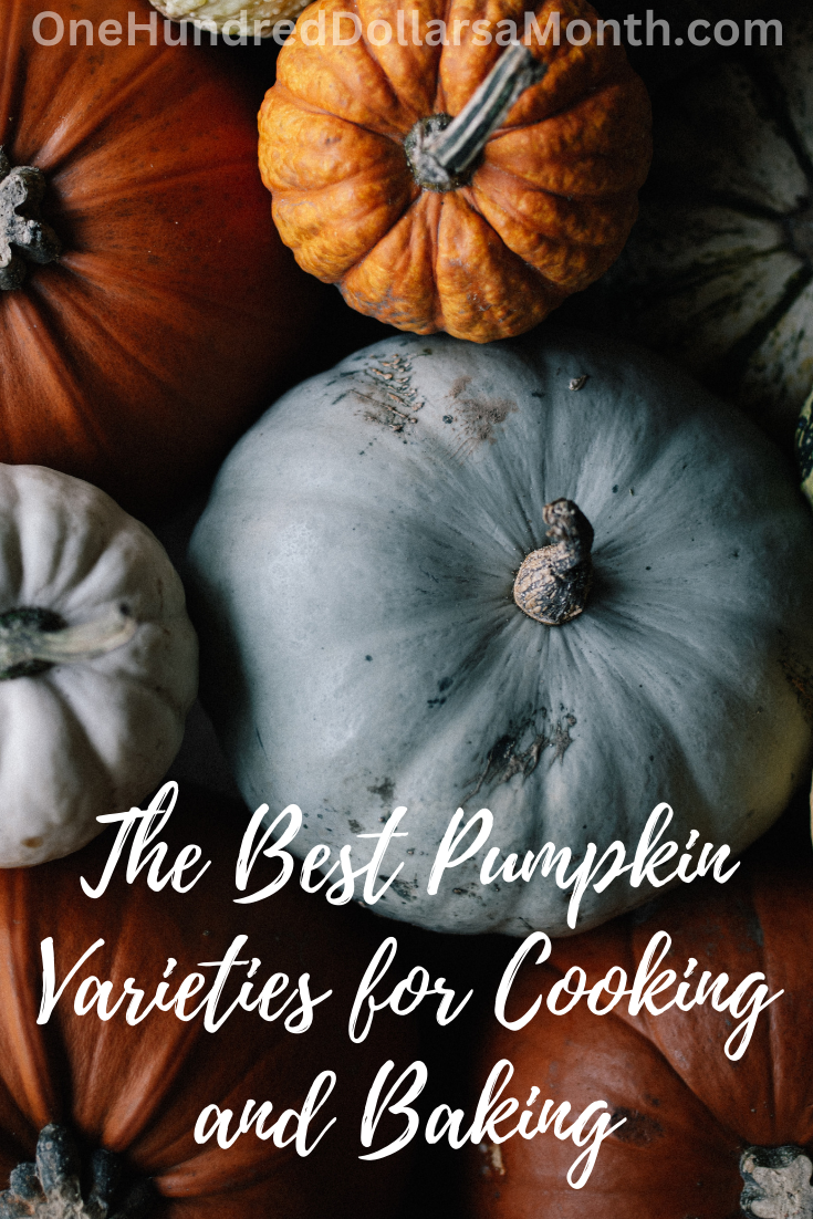 Best Pumpkin Varieties for Cooking and Baking