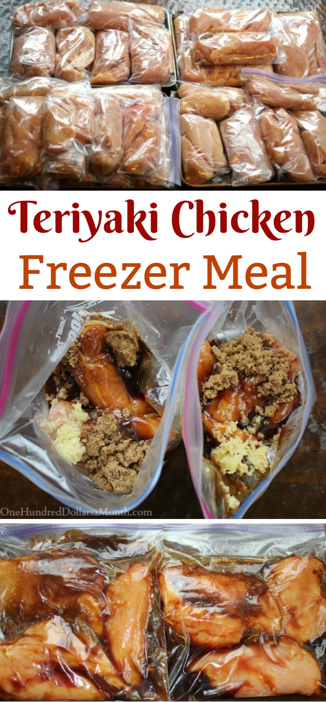 Freezer Meals - Teriyaki Chicken - One Hundred Dollars a Month