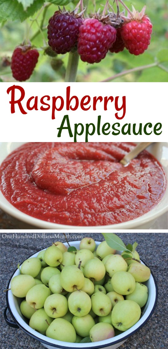 Homemade Raspberry Applesauce