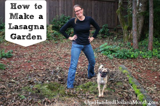 How to Make a Lasagna Garden