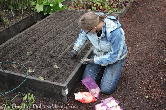 How to Grow Your Own Food – 10/3/2013 Garden Tally