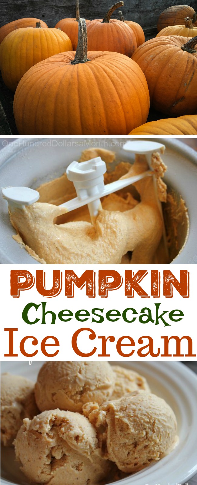 Pumpkin Cheesecake Ice Cream