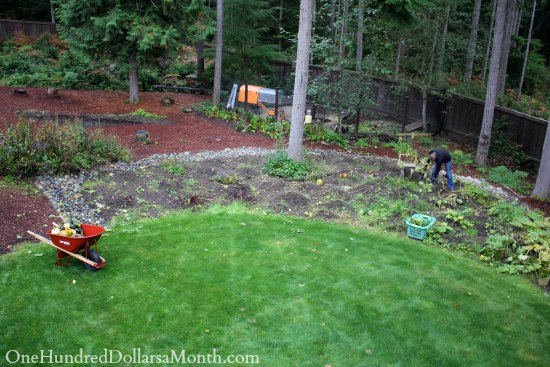 Mavis Garden Blog – Cleaning Up the Pumpkin Patch