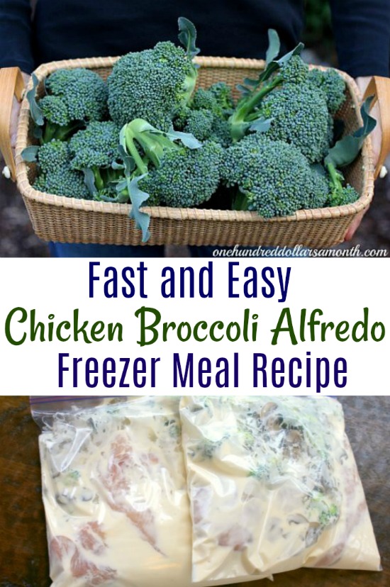Freezer Meals – Chicken Broccoli Alfredo
