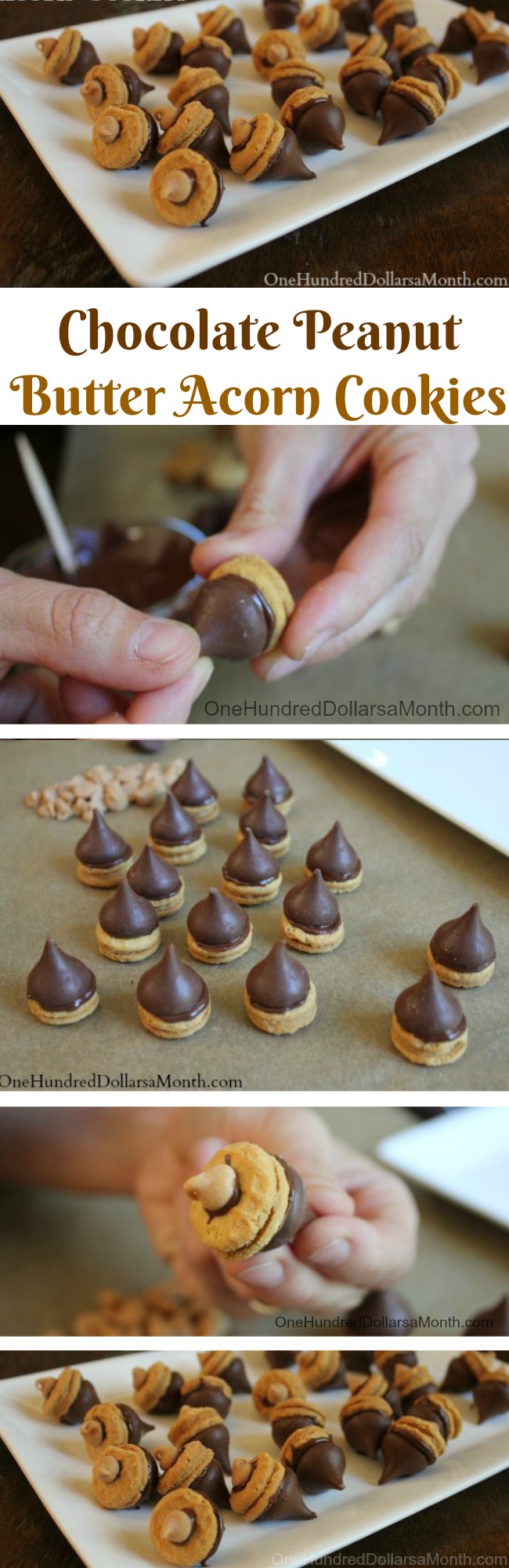 Chocolate Peanut Butter Acorn Cookies