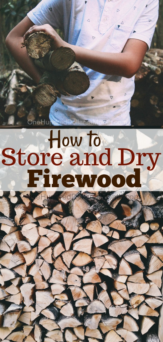 How to Store and Dry Firewood