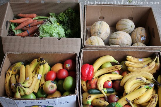 Food Waste In America – Can You Say Free Fruit?