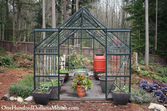 My Winter Greenhouse Garden