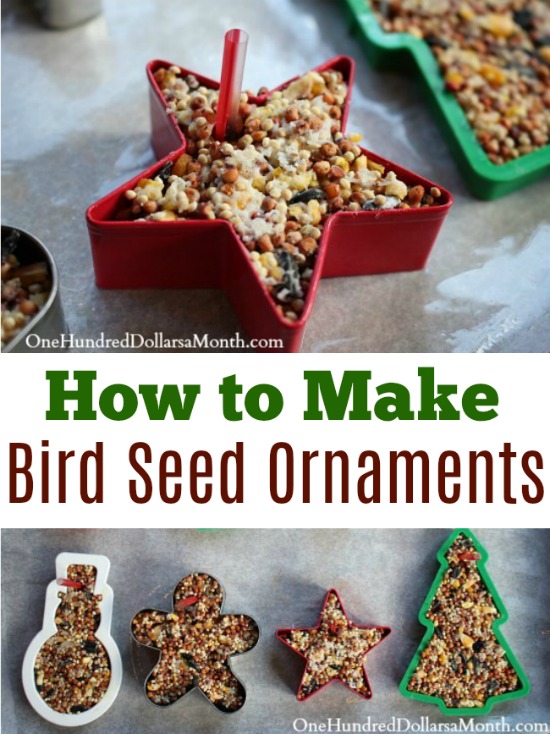 Outdoor Holiday Decorating – Homemade Bird Seed Ornaments