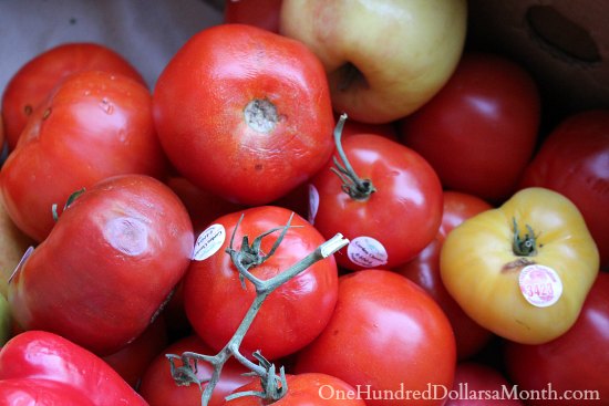 Food Waste In America – Lettuce Anyone?