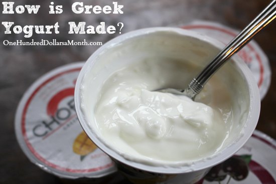 What’s In My Food?  How is Greek Yogurt Made?