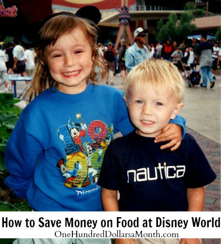 How to Save Money at Disneyland + Free Disney Theme Parks DVD