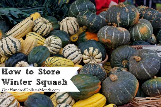 How to Store Winter Squash