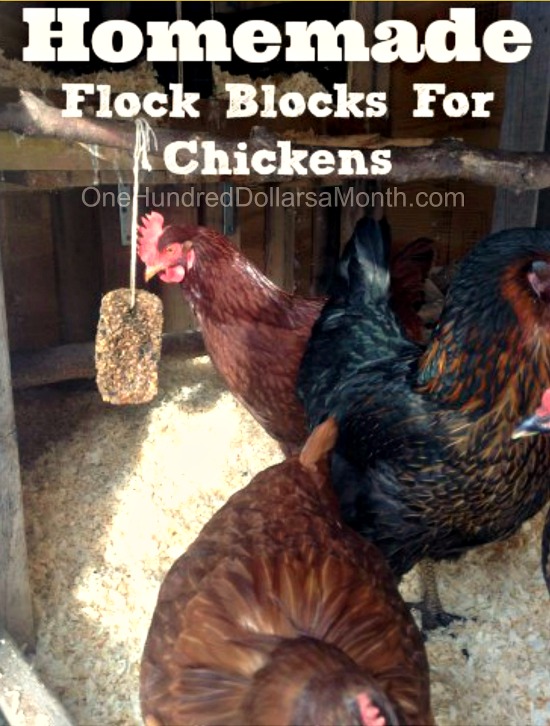 DIY Homemade Flock Blocks For Chickens