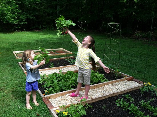 Southern Virginia Garden Tour – Vegetables, Kids, Pigs and Chickens!